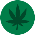 cannabis
