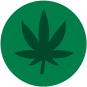Cannabis Cannabis